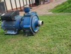 Solex Water Pump 2HP