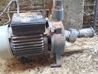Solex Water Pump