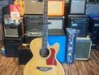 Solid Acoustic Electric Guitar