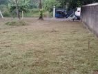 Solid land for sale Homagema