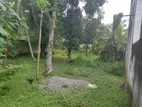 Solid Land for Sale Maharagama