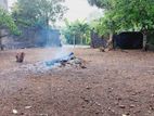 Solid Land for Sale Pannipitiya