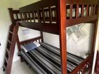 Solid Teak Bunk Bed / Wooden Single
