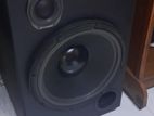 Sony 12 Inch Speaker System