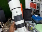 Sony 200-600 G OSS