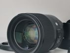 Sony 50mm DG-DN f/1.4 Art lens