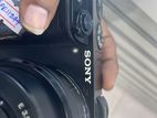 Sony A 6000