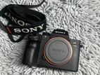 Sony A7iii Camera