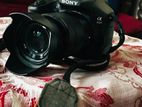 Sony A3000