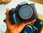 Sony A7 iii with Sigma 85 mm Lens