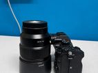 Sony A7iii with 85mm 1.8 Lens