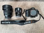 Sony A7III With Accessories