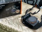 Sony A7iii Camera