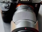 Sony A7iii Camera
