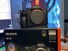 Sony A7III Camera