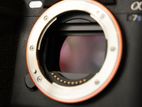 Sony A7S3 - A7Siii