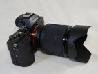 Sony Alpha 7 Full Frame Body