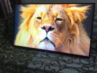 Sony Bravia 3D 43" Tv