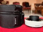 Sony Fe 1.4 X Teleconverter