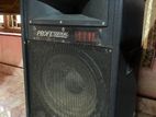 Professional Sound System