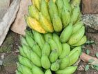 Sour Banana