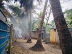 House with Land for Sale in Jaffna
