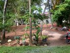 Spacious 2-Story House for Sale in Dalupotha, Negombo