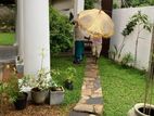 Spacious 4-Bedroom House for Rent – Godagama