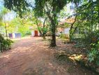 Spacious 80 Perch Land with 2 Livable Houses – Piliyandala