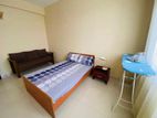 Spacious Fully Furnished Apartment for Rent