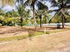 Spacious Land for Sale in Homagama