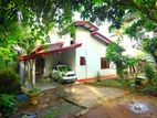 Spacious | Single storied House for sale in Panadura
