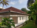 Spacious Single Story House for Rent in Mount Lavinia