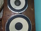 Sony 10inch Double Magnet speakers
