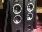 Pioneer Speaker Set