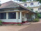 Specially for Office, Old Type Single Story House Rent in Hokandara
