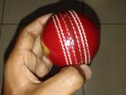 Speed Leather Cricket Ball
