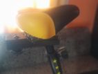 spine bike