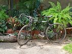 Sports Track Bicycle