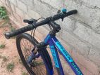 Spot Bicycle