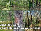 Sprawling 205 Acres Estate for Sale in Gamewela, Passara (LC 1687)