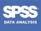 SPSS Data Analysis Support