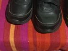 School Shoe
