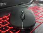 Spy Voice Wireless Mouse