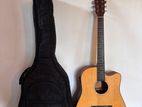 "SQOE" Acoustic Guitar
