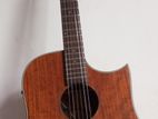 Sqoe Semi Acoustic Guitar