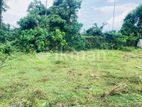 Square Land For Sale in Pelawatta