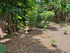 Square Land in The Heart of Maharagama Town