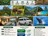 Sri Lankan Tour with Driver and Hotel