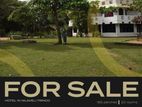 Sri Lanka’s Next Hospitality Success Story